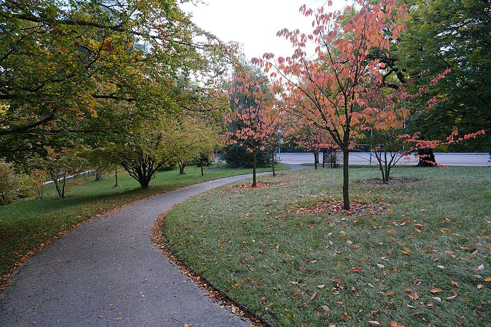 A curving path under autumn trees in the Parc de l'Ariana
