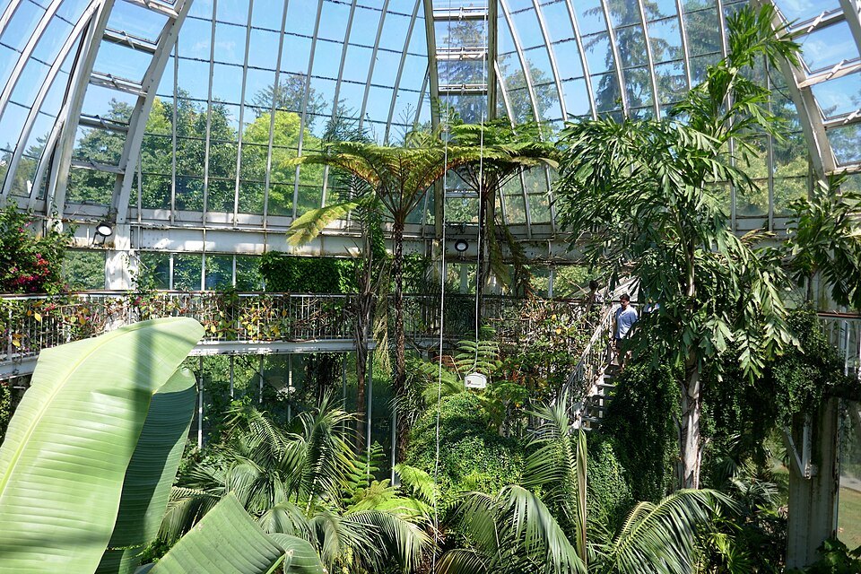 The Botanical Garden and the Lakeside Parks