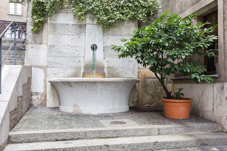 A stone fountain basin set into a wall on the Rue du Perron, a potted lemon tree beside it