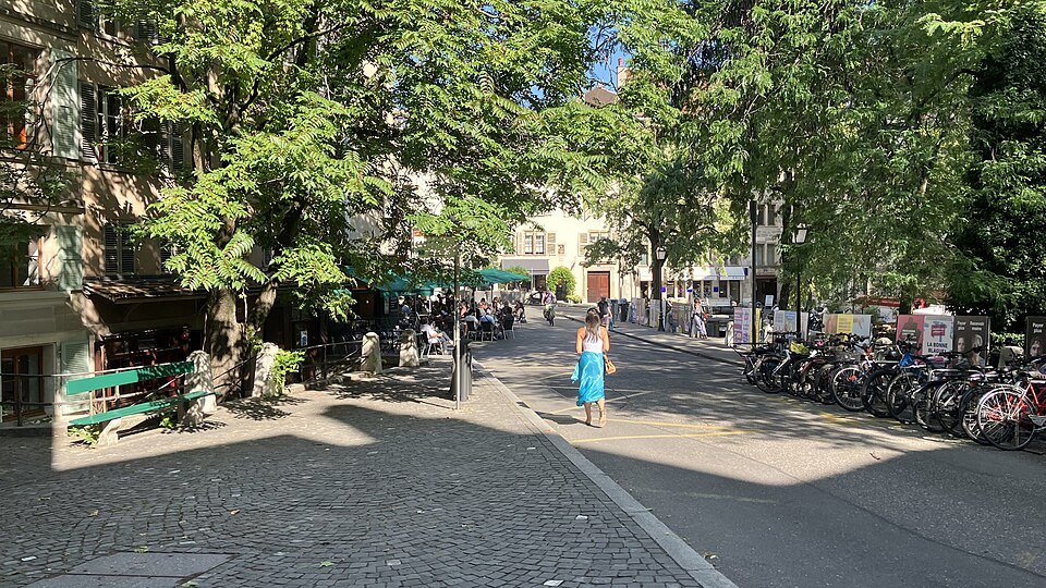 Benches and bicycles under the trees of Place du Bourg-de-Four