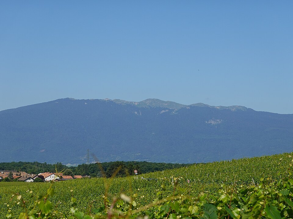 Vineyards at Bernex below the long ridge of the Grand Crêt d'Eau