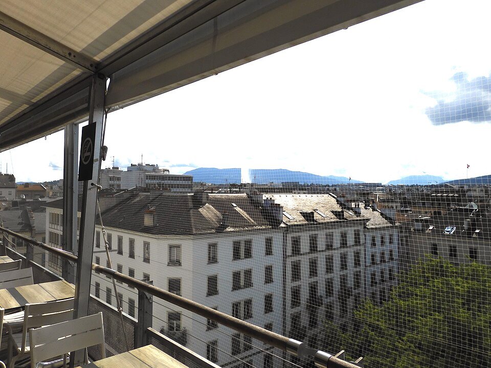 Rooftops and the Jet d'Eau seen from a terrace above the city