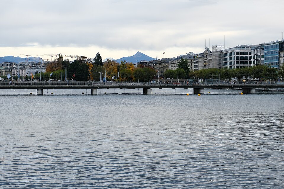 The Pont des Bergues crossing the Rhône, the right-bank buildings behind