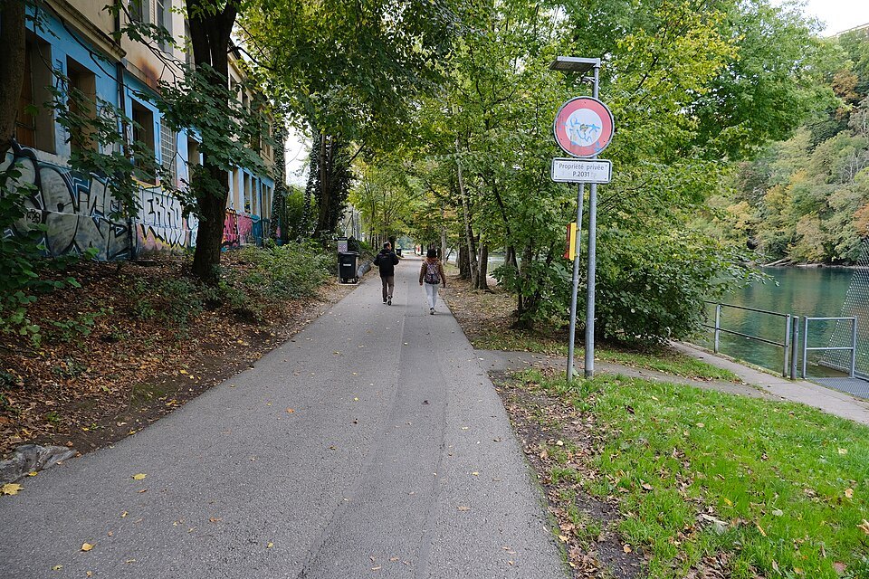 A tree-lined path toward the Pointe de la Jonction along the Rhône