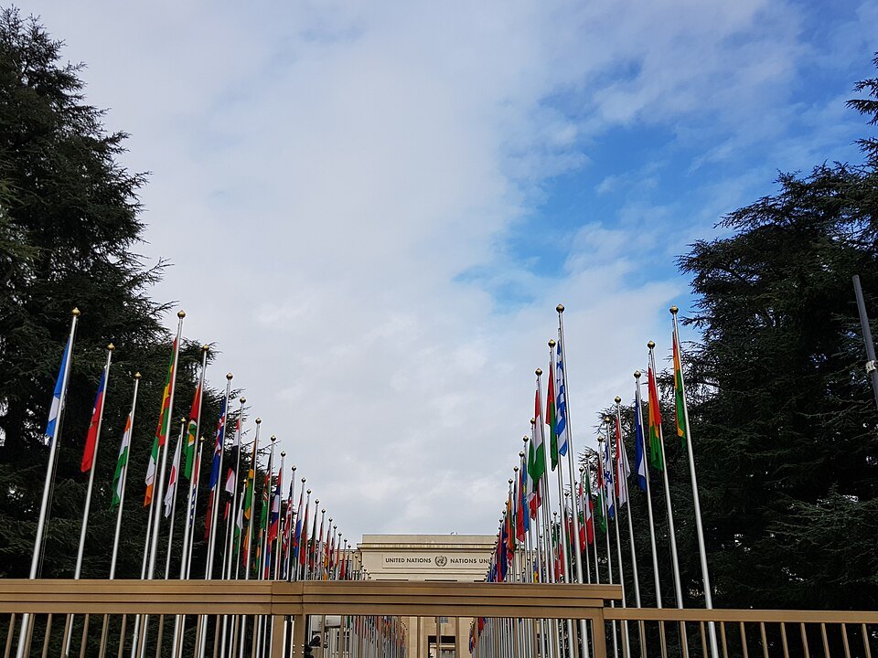 Flags of the member states lining the avenue up to the palace