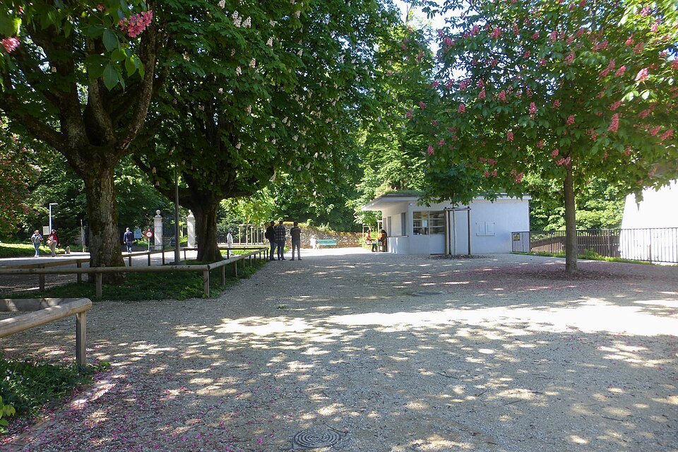 Flowering chestnut trees shading a path in the Parc des Eaux-Vives