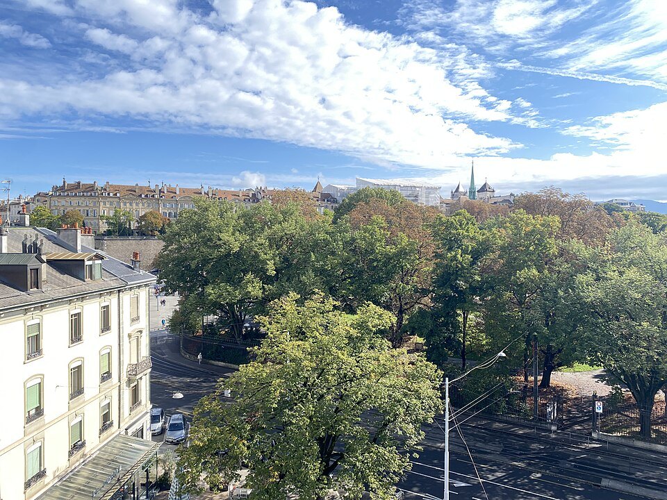 The trees of the Parc des Bastions and the rooftops beyond, from a university terrace